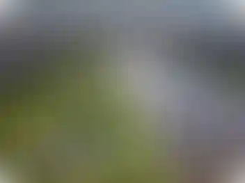 Природное окружение