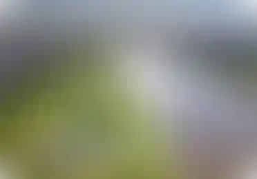 Природное окружение