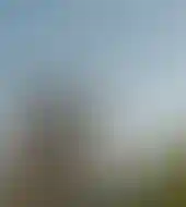 2,4 тыс. га