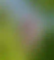 7,1 млн м²