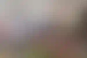 АндерСон
